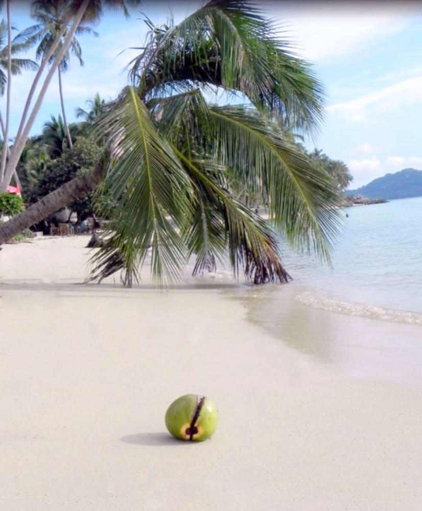 Sibaja Palms Sunset Beach Luxury Apartments Taling Ngam Beach Extérieur photo